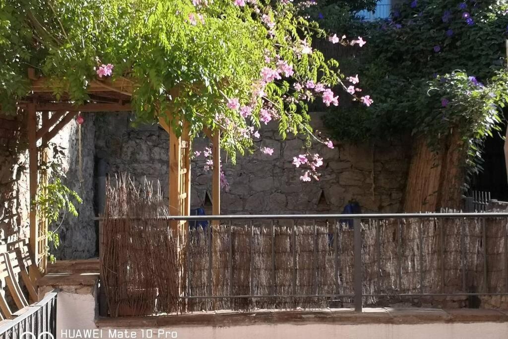 Appartement Avec Jardin Privatif Centre Ville Hyères Exterior foto